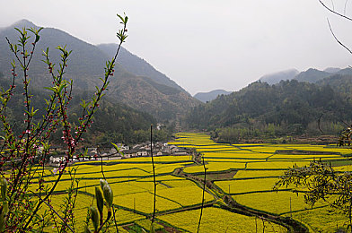 青春放纵晓莲与爸爸的背景介绍｜梦想驾驭，传承与创新之旅-1