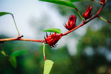 男生操女生视频软件|“创新车载娱乐系统引关注:智能语音助手助力安全驾驶,引领行业潮流新体验”-1