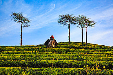 没戴乳罩被同桌c了一节课|“新手司机“C”课警钟,安全意识成车界热议焦点:幽默警示,共建和谐交通环境-1