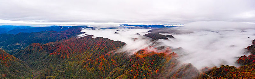 9·1短视频|引领未来潮流,9·1短视频曝新型汽车亮点解析-2