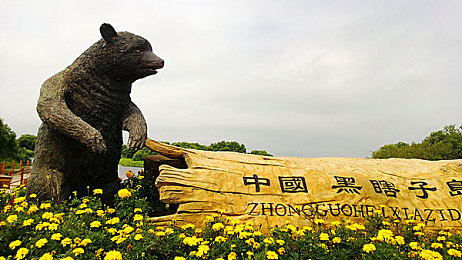 黄色软件APPOPPO|智驾新纪元,APPOPPO领航绿色未来-3