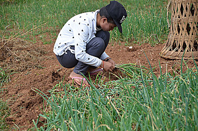 一卡二卡号码会不会错乱|“汽车电子化新趋势:一卡控制双车,号码安全无忧,便捷生活新体验”-2