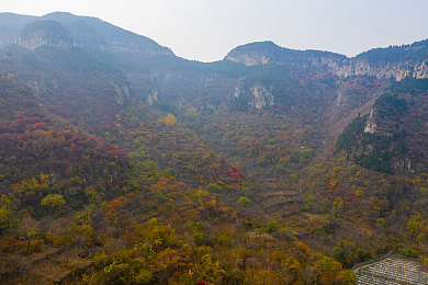 五月天丁香花婷婷|五月天歌声伴新潮,婷婷车型上市引领时尚风潮-1