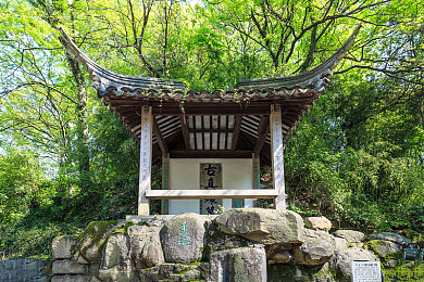 抖音9·1免费观看｜抖音盛宴，汽车文化大放异彩，免费观看盛宴来袭，汽车迷们不容错过！-4