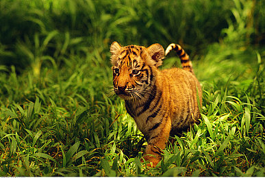 17c黑料爆料,揭秘17c动力疑云,厂家积极应对,车主信心重燃-5