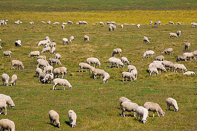 天天日天天操天天干｜涡轮动力，智控领航，环保先锋，畅行未来-1