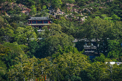 天天操天天添|科技赋能,节能环保:我国知名汽车品牌全新车型亮相,引领行业创新潮流-3