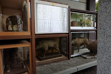 黄色软件破解版|汽车辅助软件新突破:“智能驾驶神器”助力车主安全便捷出行-1