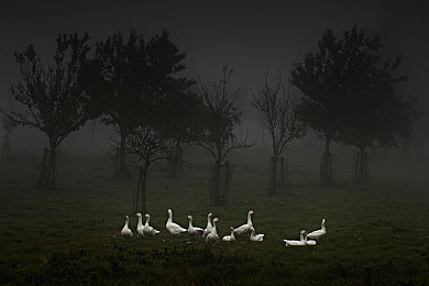 潘金莲一级A片|揭秘“神秘”纯电动SUV:潘金莲传奇车型即将崛起,引领汽车产业新高峰-2