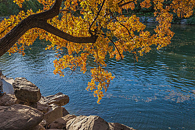 中国浓毛大泬特写|时尚动韵,智领未来——浓毛大泬引领国产汽车新潮流-2