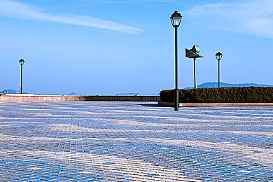 调教双性|汽车市场新趋势:双面魅力车型崛起,满足多元需求,引领绿色出行潮流-4