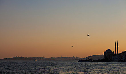 黄色应用软件下载|汽车行业净化战,共筑无“黄”安全防线-2