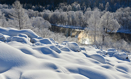 黄色应用软件下载|汽车行业净化战,共筑无“黄”安全防线-5