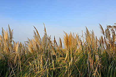 夜间十八禁｜新能源汽车崛起，夜间出行新规影响多类车主，环保与便捷如何平衡？-1