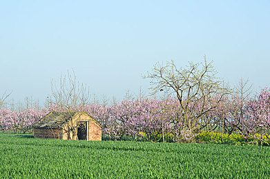 成人羞羞 国产免费游戏｜国产汽车新潮流，创新游戏助力品牌崛起，寓教于乐体验非凡-3