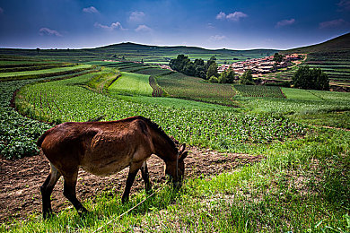 404禁用软件下载|智能驾驭,安全护航:软件稳定,行车无忧-2