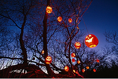 罚坐三角架有多痛|“三角座椅新体验,舒适创新引关注:探秘“罚坐”汽车之谜”-1