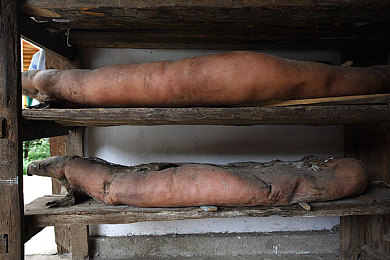 爱情岛论坛  VIP永久入口｜新能源汽车受热捧：续航500公里，车友热议未来发展趋势-1