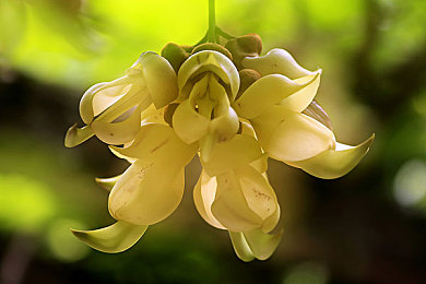 日本少妇特殊按摩｜日本汽车科技新突破，创新按摩系统引领舒适驾驶革命-1