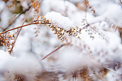 在教室隔着内裤啪啪噗呲噗呲｜“科技动感新潮驾，绿色静谧领航行”-2