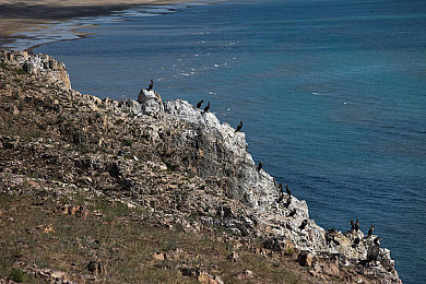 梦想三国无惨孙尚香漫画｜“古典美女孙尚香化身现代跑车女主，跨界漫画引热议，汽车文化传承与创新再掀热潮”-2