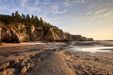 女班长洗澡让我随便摸她的胸|智能汽车系统引热议:人性化设计失误引发道德争议-1