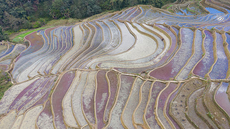 FurryGayFuckXXX动漫|“动漫灵感碰撞未来科技,独特概念车引热议,引领环保出行新潮流”-2