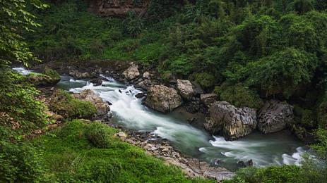黄色软件下载大全免费｜全面免费汽车软件大全，实用便捷安全可靠，车主福音来袭-3