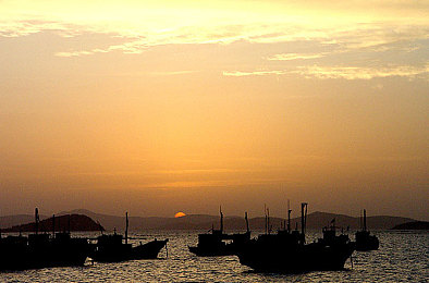 免费黄色软件2023｜智能先锋，护航未来，创新驾驶新篇章-3