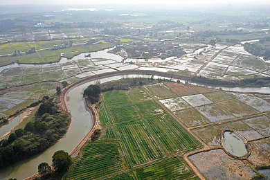 黄色软件3.3.0|智能驾驶新篇章,绿色环保再升级-1