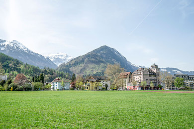 国产毛毛片|国产新秀惊艳登场:独特魅力,高效节能,亲民价格,领跑汽车市场-4