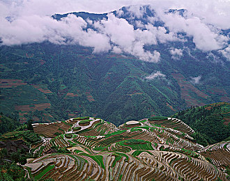 美女被艹软件|智能驾驶新篇章:车联网技术助力“神秘软件”引领汽车行业变革,前景广阔-1