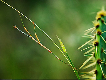 AV三级｜驾驭巅峰，驾驭未来，舒适与激情并存-1