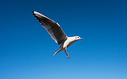 一卡二卡号码会不会错乱|“汽车电子化新趋势:一卡控制双车,号码安全无忧,便捷生活新体验”-4