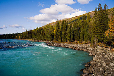 黄色入囗|汽车安全美观双升级:创新设计引领未来出行新潮流-2