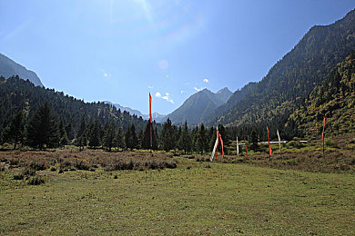 色多多app官方导入|汽车服务平台新潮流引领者:色多多app官方导入,为车主带来便捷智能驾驶体验-4