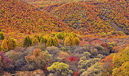 草莓秘 免费一区二区三区｜新能源汽车黑马草莓秘：三大免费福利，引领市场新潮流-2