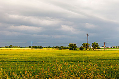 yw.193｜“独特设计，科技领先，强劲动力，全新车型引领驾驶新体验——揭秘备受瞩目“yw.193”神秘面纱”-1