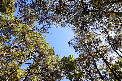 三上和松泽小职员|自然灵感,科技驾驭——打造非凡出行体验-1