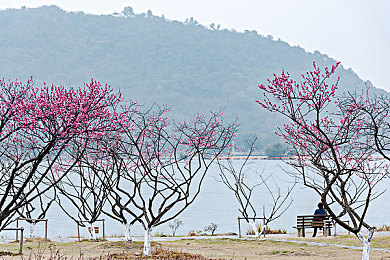 女版美国满天星军舰女|璀璨星光,智领未来——女性专属豪华电动座驾-1