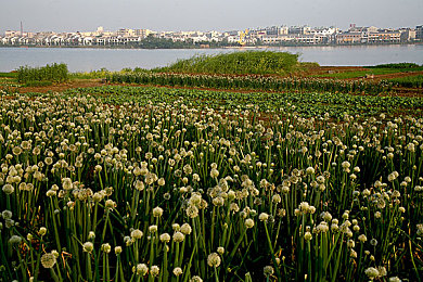 国产吃瓜黑料泄密曝光|国产汽车质量问题引关注,厂家紧急召回,行业监管亟待加强-1