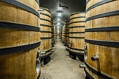 杨玉环三级｜古代美韵现代驰骋，魅力涡轮动力盛宴-1