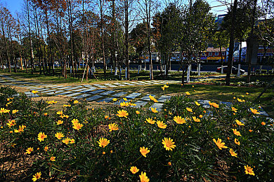 桥本香菜的启蒙妈妈是小学还是初中｜新能源汽车领军品牌全新力作上市，续航500公里，桥本香菜启蒙故事引发热议-4