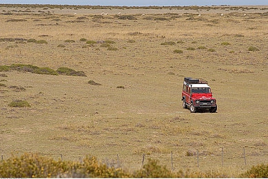 石原莉奈被强制69XX|汽车设计新星石原莉奈风波引关注,揭秘汽车行业潜规则与设计初心-5