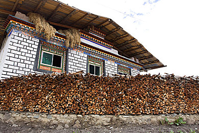 亭亭玉立国色天香综合症怎么治疗｜魅力车型综合征破解，理性购车新视野-3