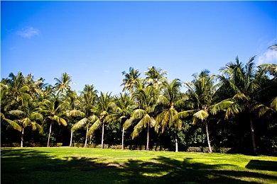 谢俞上课夹震蛋高潮｜悬挂革新，舒适升级——夹震蛋技术引领汽车新境界-3