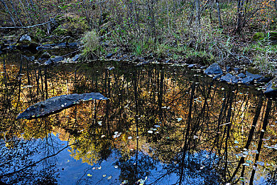黄色游戏18|“智能驾驶新标杆,环保动力显匠心——某汽车品牌颠覆性技术引领未来出行潮流”-1