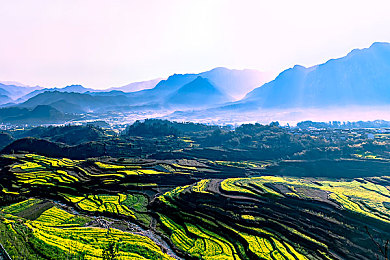 黄色3.0|金色阳光穿梭,科技动感启航——领航绿色出行新时代-1