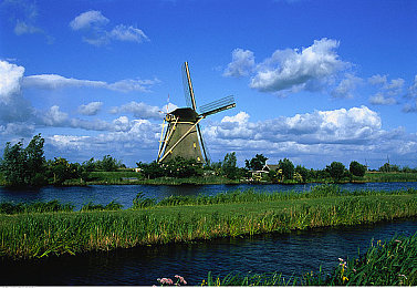 黄色软件下载3.0.3oppo|OPPO手机跨界汽车行业,创新软件引领智能驾驶新潮流-4