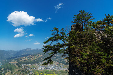 黄色app下载oppo|Oppo手机助力汽车生活,"黄色app"下载量激增,便捷服务引关注-1